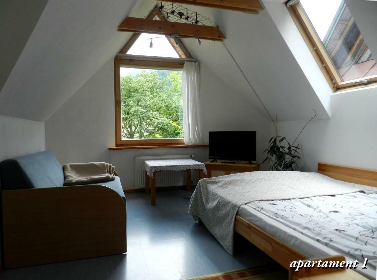 Apartamencik Z Widokiem Na Giewont Apartment *